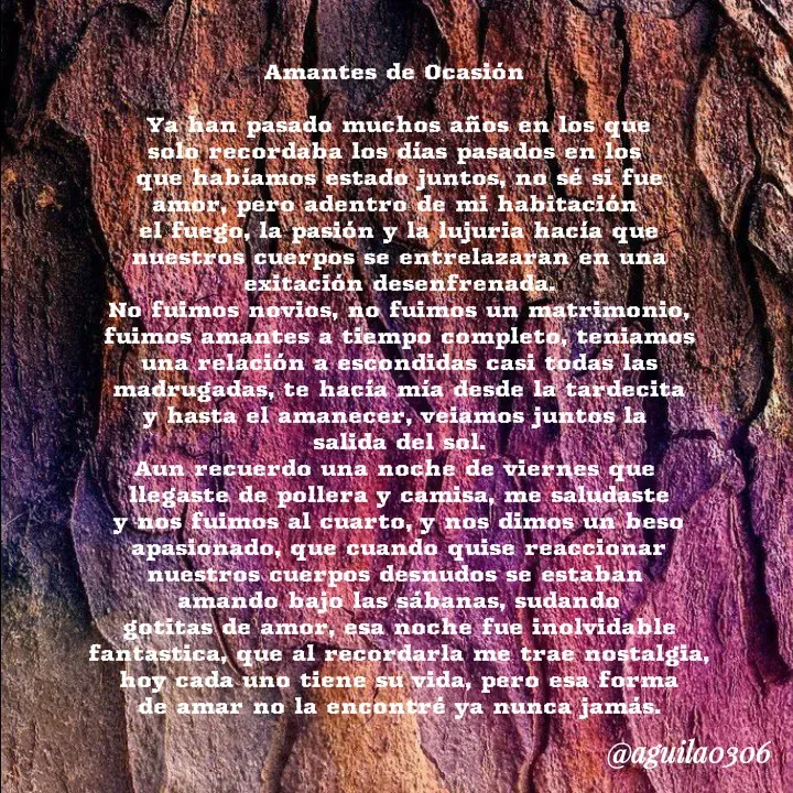 Quote by Marce... Aguila0306 - Amantes de Ocasión 

Ya han pasado muchos años en los que
solo recordaba los días pasados en los 
que habíamos estado juntos, no sé si fue
amor, pero adentro de mi habitación 
el fuego, la pasión y la lujuria hacía que
nuestros cuerpos se entrelazaran en una
exitación desenfrenada.
No fuimos novios, no fuimos un matrimonio,
fuimos amantes a tiempo completo, teniamos
una relación a escondidas casi todas las
madrugadas, te hacía mía desde la tardecita
y hasta el amanecer, veiamos juntos la 
salida del sol.
Aun recuerdo una noche de viernes que 
llegaste de pollera y camisa, me saludaste
y nos fuimos al cuarto, y nos dimos un beso
apasionado, que cuando quise reaccionar
nuestros cuerpos desnudos se estaban 
amando bajo las sábanas, sudando
gotitas de amor, esa noche fue inolvidable
fantastica, que al recordarla me trae nostalgia,
hoy cada uno tiene su vida, pero esa forma
de amar no la encontré ya nunca jamás. - Made using Quotes Creator App, Post Maker App
