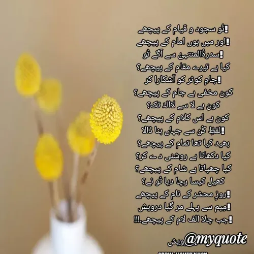 Quote by Abdul Wahid Khan -  - Made using Quotes Creator App, Post Maker App