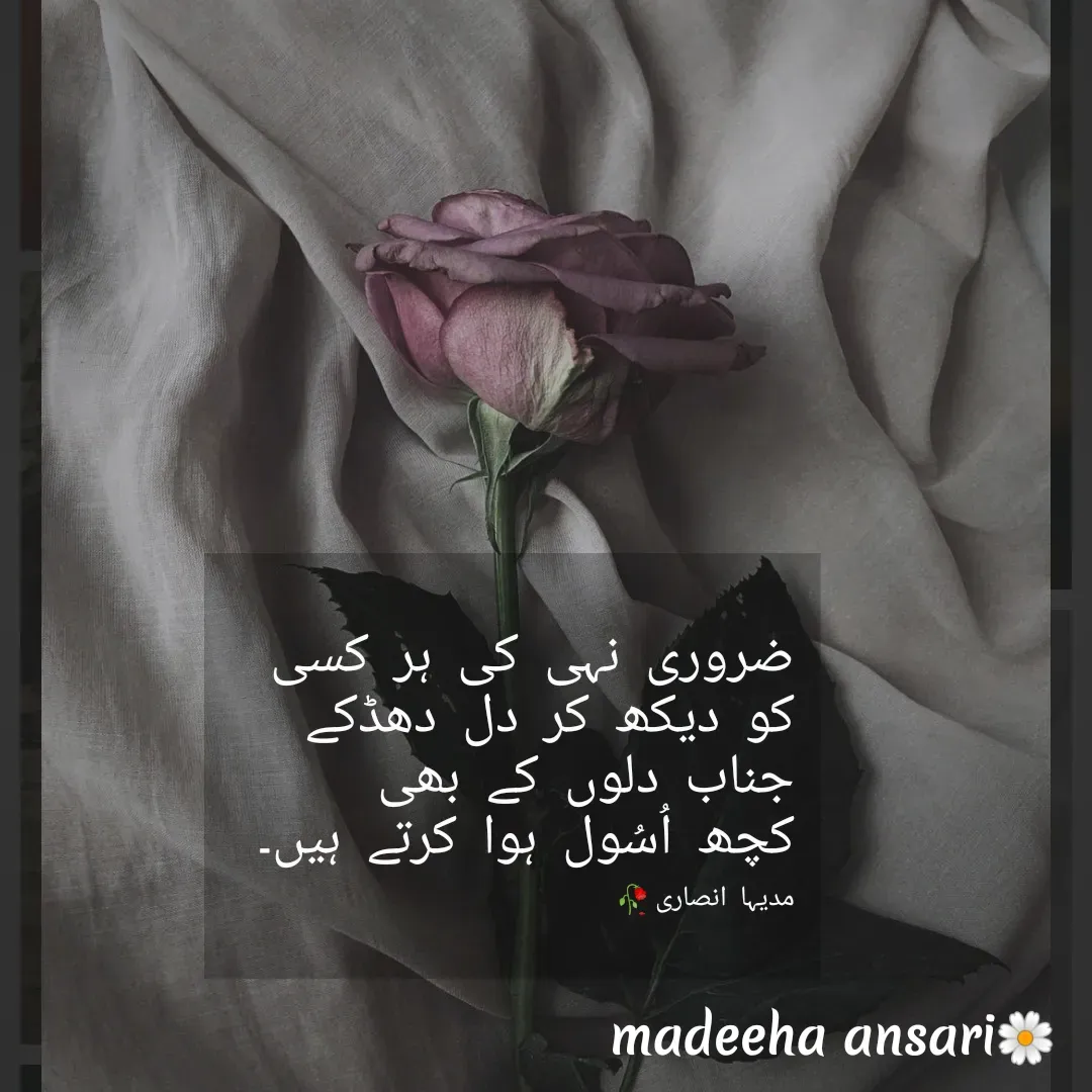Quote by madeeha ansari♡ - ضروری نہی کی ہر کسی 
کو دیکھ کر دل دھڈکے 
جناب دلوں کے بھی 
کچھ اُسُول ہوا کرتے ہیں۔

مدیہا انصاری🥀 - Made using Quotes Creator App, Post Maker App