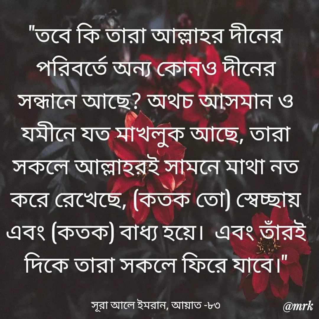 Quote by Md. Rezaul Karim  - "তবে কি তারা আল্লাহর দীনের পরিবর্তে অন্য কোনও দীনের সন্ধানে আছে? অথচ আসমান ও যমীনে যত মাখলুক আছে, তারা সকলে আল্লাহরই সামনে মাথা নত করে রেখেছে, (কতক তো) স্বেচ্ছায় এবং (কতক) বাধ্য হয়ে।  এবং তাঁরই দিকে তারা সকলে ফিরে যাবে।"

সূরা আলে ইমরান, আয়াত -৮৩ - Made using Quotes Creator App, Post Maker App