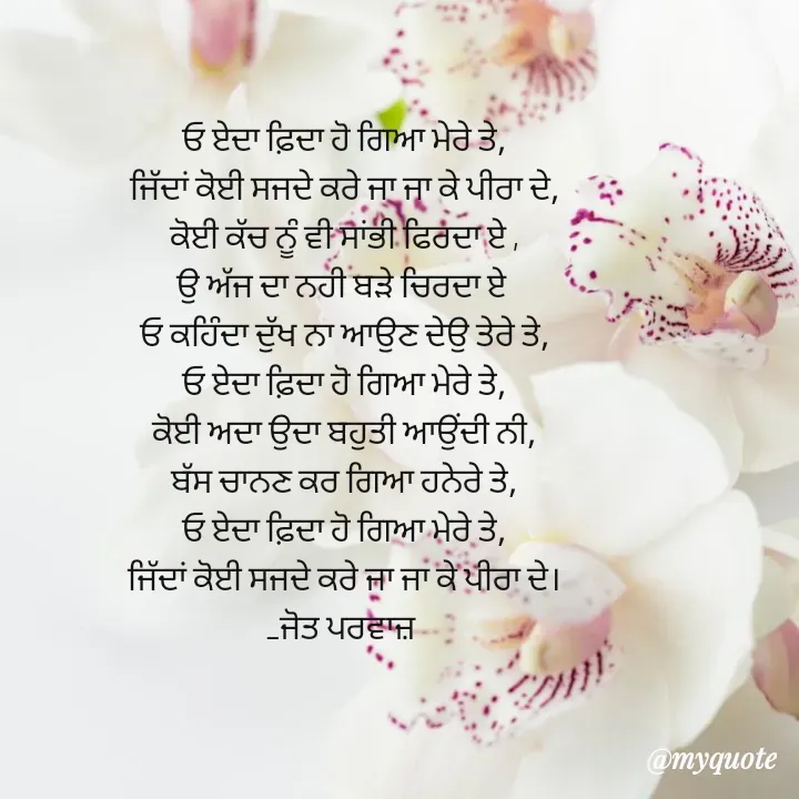 Quote by Navjot kaur Jot - ਓ ਏਦਾ ਫ਼ਿਦਾ ਹੋ ਗਿਆ ਮੇਰੇ ਤੇ,
ਜਿੱਦਾਂ ਕੋਈ ਸਜਦੇ ਕਰੇ ਜਾ ਜਾ ਕੇ ਪੀਰਾ ਦੇ,
ਕੋਈ ਕੱਚ ਨੂੰ ਵੀ ਸਾਂਭੀ ਫਿਰਦਾ ਏ ,
ਉ ਅੱਜ ਦਾ ਨਹੀ ਬੜੇ ਚਿਰਦਾ ਏ 
ਓ ਕਹਿੰਦਾ ਦੁੱਖ ਨਾ ਆਉਣ ਦੇਉ ਤੇਰੇ ਤੇ,
ਓ ਏਦਾ ਫ਼ਿਦਾ ਹੋ ਗਿਆ ਮੇਰੇ ਤੇ,
ਕੋਈ ਅਦਾ ਉਦਾ ਬਹੁਤੀ ਆਉਂਦੀ ਨੀ,
ਬੱਸ ਚਾਨਣ ਕਰ ਗਿਆ ਹਨੇਰੇ ਤੇ,
ਓ ਏਦਾ ਫ਼ਿਦਾ ਹੋ ਗਿਆ ਮੇਰੇ ਤੇ,
ਜਿੱਦਾਂ ਕੋਈ ਸਜਦੇ ਕਰੇ ਜਾ ਜਾ ਕੇ ਪੀਰਾ ਦੇ।
_ਜੋਤ ਪਰਵਾਜ਼  - Made using Quotes Creator App, Post Maker App