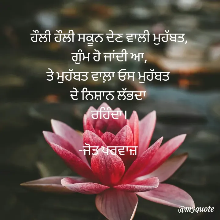 Quote by Navjot kaur Jot - ਹੌਲੀ ਹੌਲੀ ਸਕੂਨ ਦੇਣ ਵਾਲੀ ਮੁਹੱਬਤ,
ਗੁੰਮ ਹੋ ਜਾਂਦੀ ਆ,
ਤੇ ਮੁਹੱਬਤ ਵਾਲ਼ਾ ਓਸ ਮੁਹੱਬਤ 
ਦੇ ਨਿਸ਼ਾਨ ਲੱਭਦਾ 
ਰਹਿੰਦਾ।

-ਜੋਤ ਪਰਵਾਜ਼  - Made using Quotes Creator App, Post Maker App