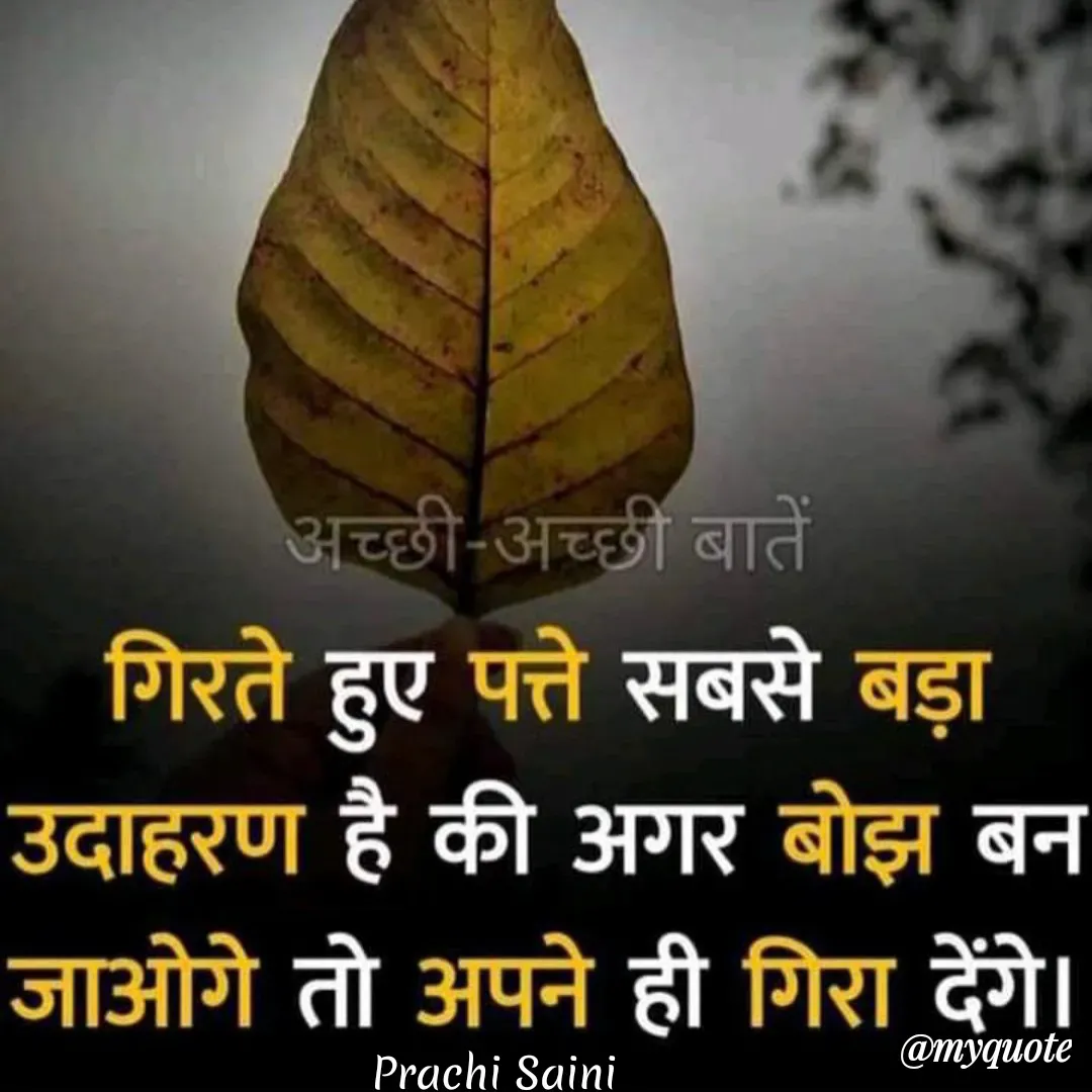 Quote by prachi saini - अच्छी-अच्छी बातें
गिरते हुए पत्ते सबसे बड़ा
उदाहरण है की अगर बोझ बन
जाओगे तो अपने ही गिरा देंगे।
@myquote
Prachi Saini
 - Made using Quotes Creator App, Post Maker App