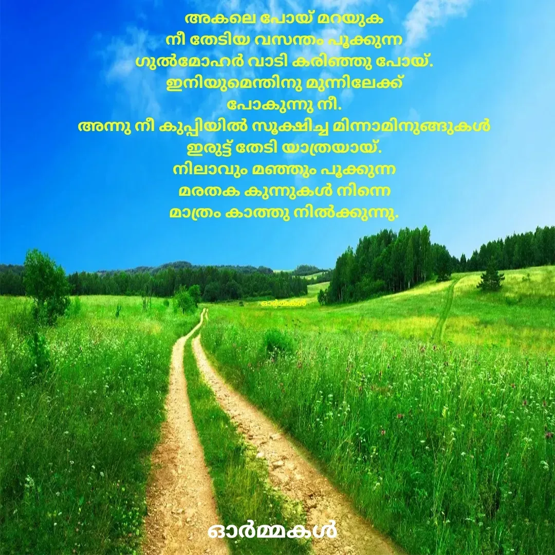 Quote by Ormakal - അകലെ പോയ് മറയുക
നീ തേടിയ വസന്തം പൂക്കുന്ന
ഗുൽമോഹർ വാടി കരിഞ്ഞു പോയ്.
ഇനിയുമെന്തിനു മുന്നിലേക്ക്
പോകുന്നു നീ.
അന്നു നീ കുപ്പിയിൽ സൂക്ഷിച്ച മിന്നാമിനുങ്ങുകൾ
ഇരുട്ട് തേടി യാത്രയായ്.
നിലാവും മഞ്ഞും പൂക്കുന്ന
മരതക കുന്നുകൾ നിന്നെ
മാത്രം കാത്തു നിൽക്കുന്നു.





ഓർമ്മകൾ  - Made using Quotes Creator App, Post Maker App