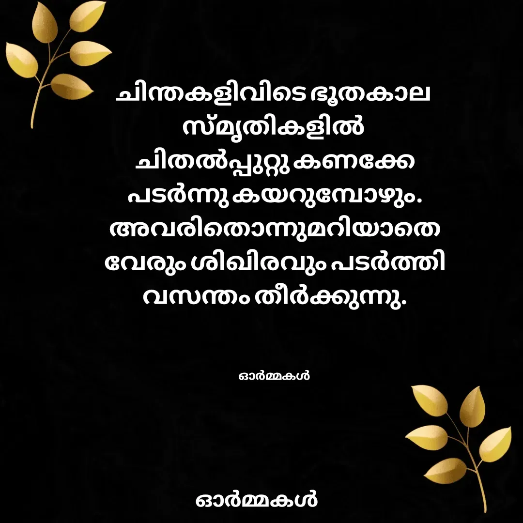 Quote by Ormakal - ചിന്തകളിവിടെ ഭൂതകാല 
സ്മൃതികളിൽ 
ചിതൽപ്പുറ്റു കണക്കേ
പടർന്നു കയറുമ്പോഴും.
അവരിതൊന്നുമറിയാതെ
വേരും ശിഖിരവും പടർത്തി
വസന്തം തീർക്കുന്നു.



ഓർമ്മകൾ  - Made using Quotes Creator App, Post Maker App