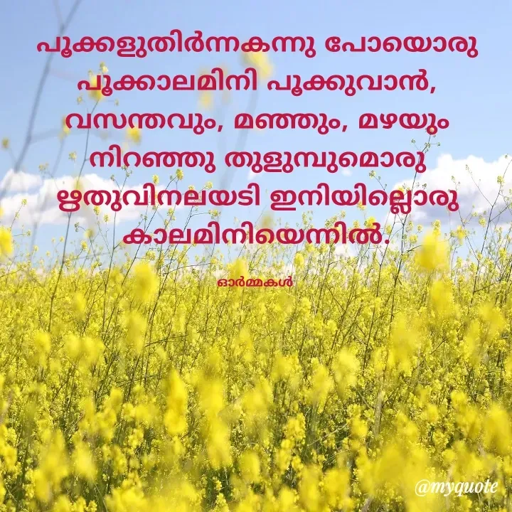 Quote by Ormakal - പൂക്കളുതിർന്നകന്നു പോയൊരു
പൂക്കാലമിനി പൂക്കുവാൻ,
വസന്തവും, മഞ്ഞും, മഴയും
നിറഞ്ഞു തുളുമ്പുമൊരു
ഋതുവിനലയടി ഇനിയില്ലൊരു
കാലമിനിയെന്നിൽ.

ഓർമ്മകൾ  - Made using Quotes Creator App, Post Maker App