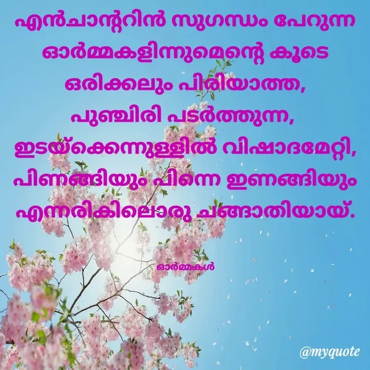 Quote by Ormakal - എൻചാന്ററിൻ സുഗന്ധം പേറുന്ന
ഓർമ്മകളിന്നുമെന്റെ കൂടെ
ഒരിക്കലും പിരിയാത്ത,
പുഞ്ചിരി പടർത്തുന്ന, 
ഇടയ്ക്കെന്നുള്ളിൽ വിഷാദമേറ്റി, പിണങ്ങിയും പിന്നെ ഇണങ്ങിയും
എന്നരികിലൊരു ചങ്ങാതിയായ്.


ഓർമ്മകൾ - Made using Quotes Creator App, Post Maker App