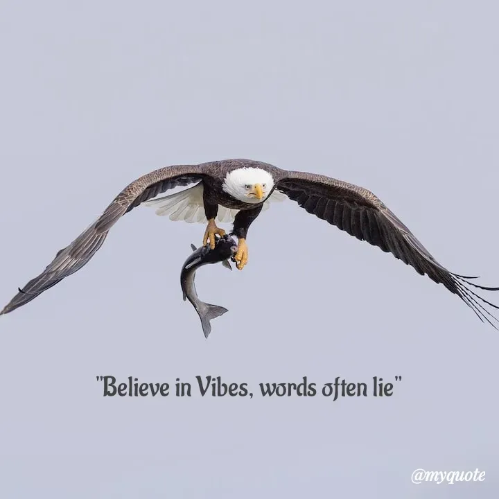 Quote by Dharshu🪶 - "Believe in Vibes, words often lie" - Made using Quotes Creator App, Post Maker App