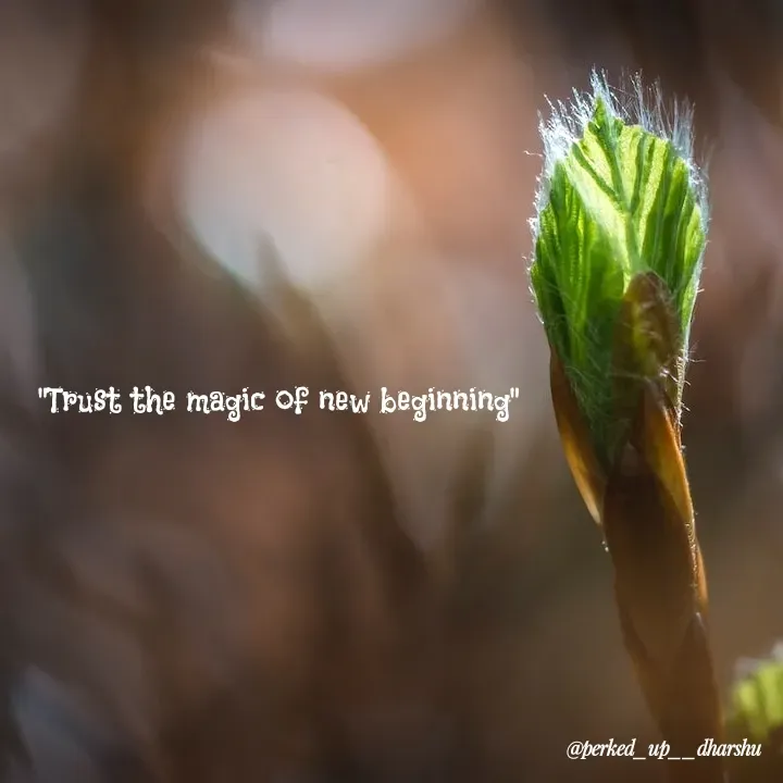 Quote by Dharshu🪶 - "Trust the magic of new beginning" - Made using Quotes Creator App, Post Maker App