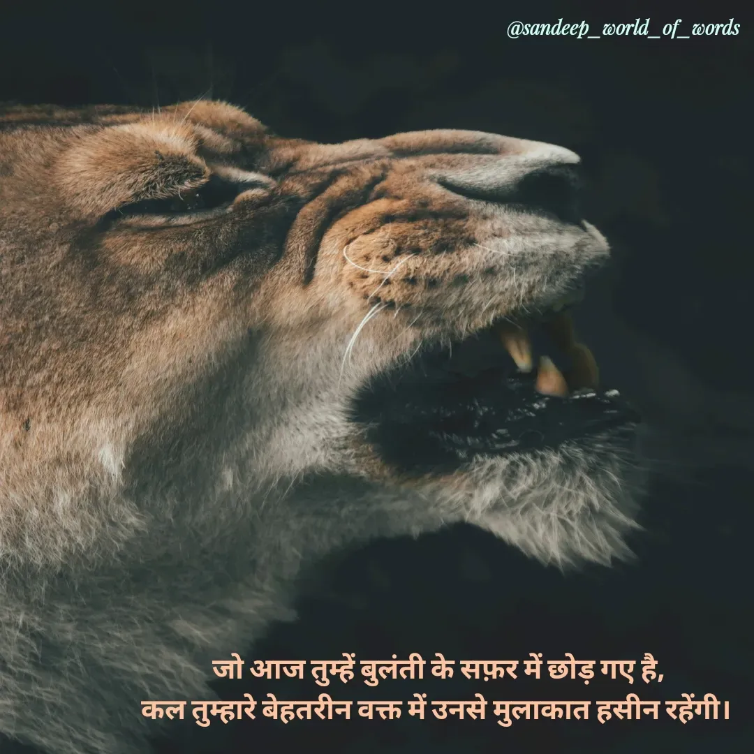 Quote by Sandeep - जो आज तुम्हें बुलंती के सफ़र में छोड़ गए है,
कल तुम्हारे बेहतरीन वक्त में उनसे मुलाकात हसीन रहेंगी।  - Made using Quotes Creator App, Post Maker App