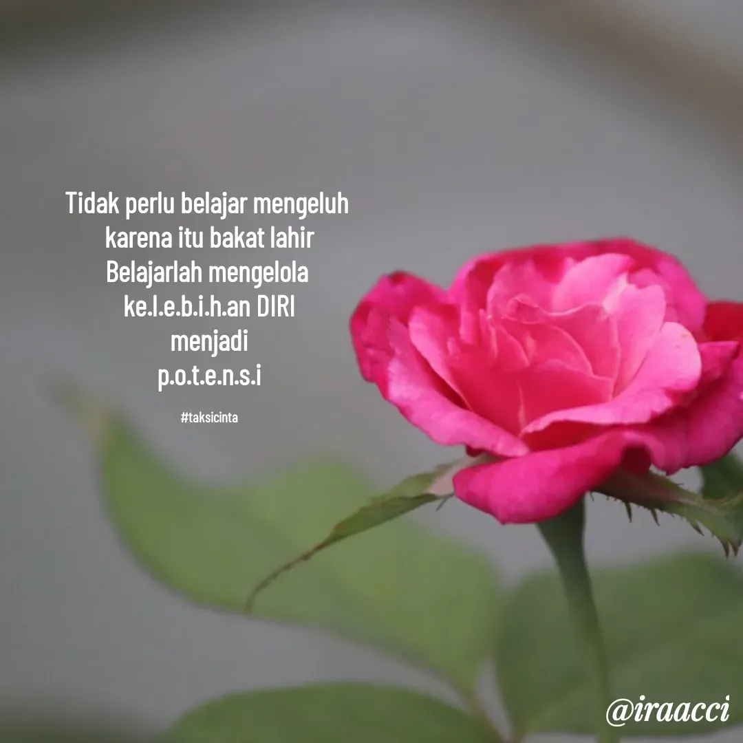 Quote by iraacci -  - Made using Quotes Creator App, Post Maker App