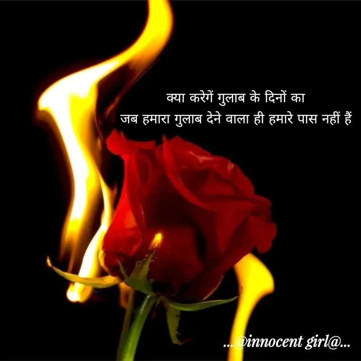 Quote by ...@Innocent girl@... - क्या करेगें गुलाब के दिनों का
जब हमारा गुलाब देने वाला ही हमारे पास नहीं हैं
 - Made using Quotes Creator App, Post Maker App