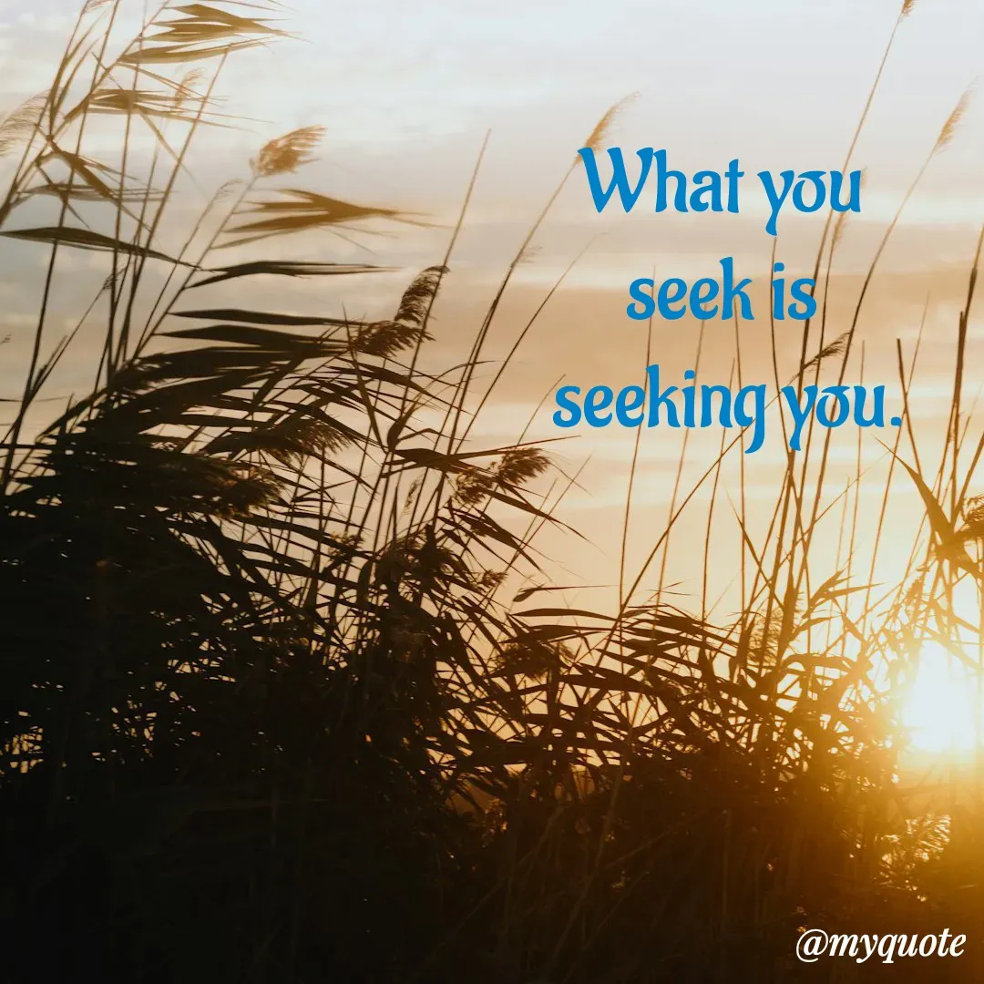 Quote by Shivani - What you 
seek is 
seeking you. - Made using Quotes Creator App, Post Maker App
