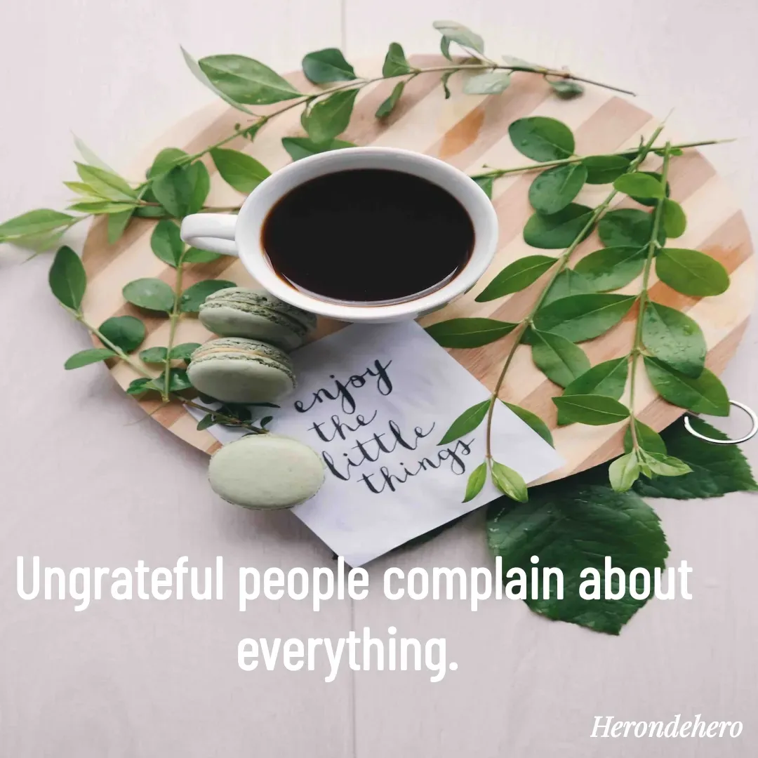 Quote by Herondehero - Ungrateful people complain about everything.  - Made using Quotes Creator App, Post Maker App