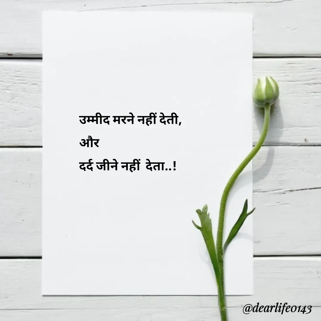 Quote by Suja Nagure - उम्मीद मरने नहीं देती,
और 
दर्द जीने नहीं  देता..!  - Made using Quotes Creator App, Post Maker App