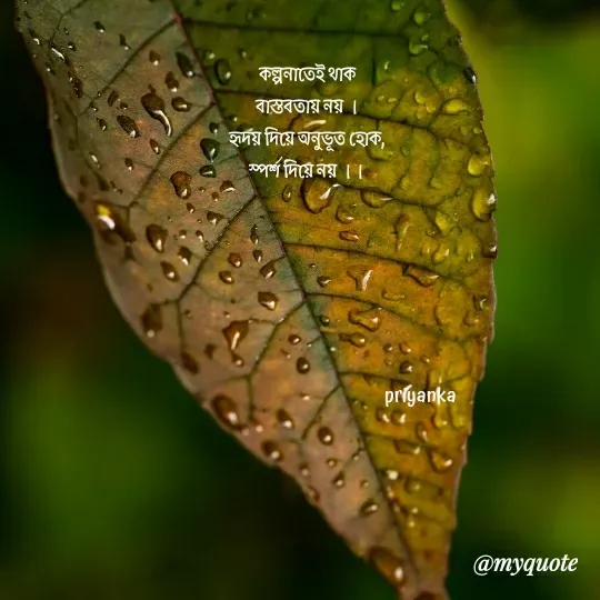Quote by Priyanka Dasgupta - কল্পনাতেই থাক
বাস্তবতায় নয় ।
হৃদয় দিয়ে অনুভূত হোক,
স্পর্শ দিয়ে নয় ।।
              
                                                                                                                                                                                                                                                                                                                                                                                                                                                                                                                                                                         




                                                                     priyanka  - Made using Quotes Creator App, Post Maker App