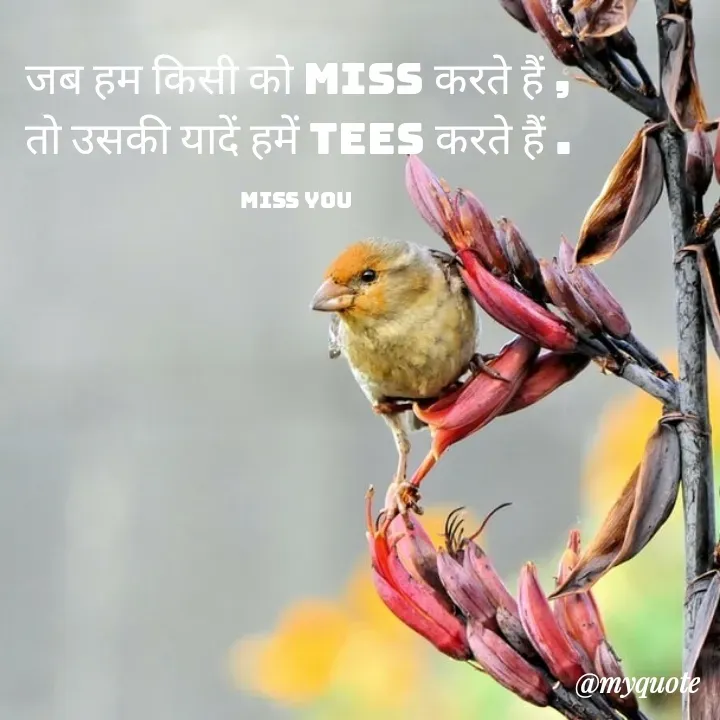 Quote by Baaten - जब हम किसी को Miss करते हैं ,
तो उसकी यादें हमें Tees करते हैं .

Miss you  - Made using Quotes Creator App, Post Maker App