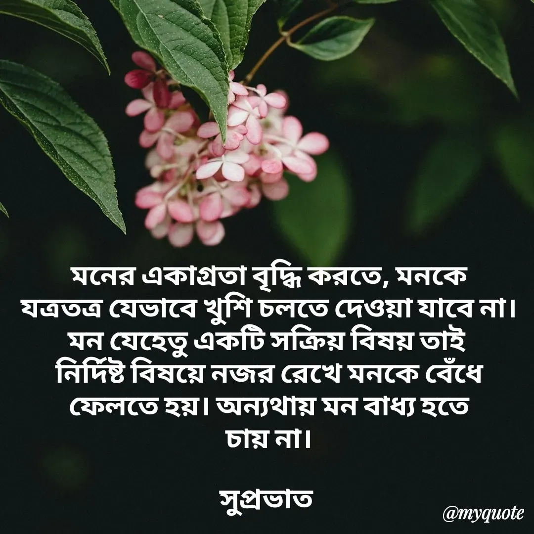 Quote by Tapan Bhattacharjee - মনের একাগ্রতা বৃদ্ধি করতে, মনকে
যত্রতত্র যেভাবে খুশি চলতে দেওয়া যাবে না।
মন যেহেতু একটি সক্রিয় বিষয় তাই 
নির্দিষ্ট বিষয়ে নজর রেখে মনকে বেঁধে
ফেলতে হয়। অন্যথায় মন বাধ্য হতে
চায় না।

সুপ্রভাত 
 - Made using Quotes Creator App, Post Maker App