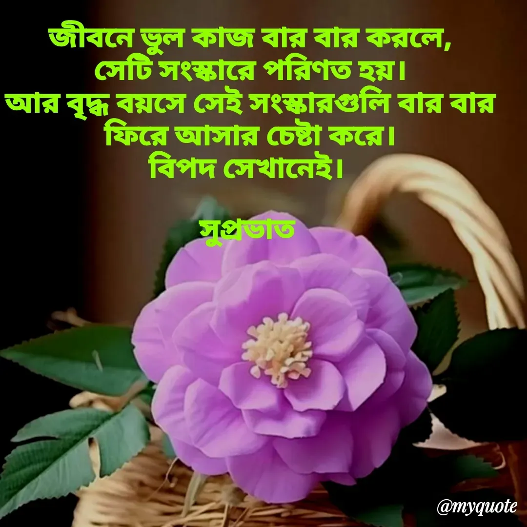 Quote by Tapan Bhattacharjee - জীবনে ভুল কাজ বার বার করলে,
সেটি সংস্কারে পরিণত হয়।
আর বৃদ্ধ বয়সে সেই সংস্কারগুলি বার বার
ফিরে আসার চেষ্টা করে।
বিপদ সেখানেই। 

সুপ্রভাত 
 - Made using Quotes Creator App, Post Maker App