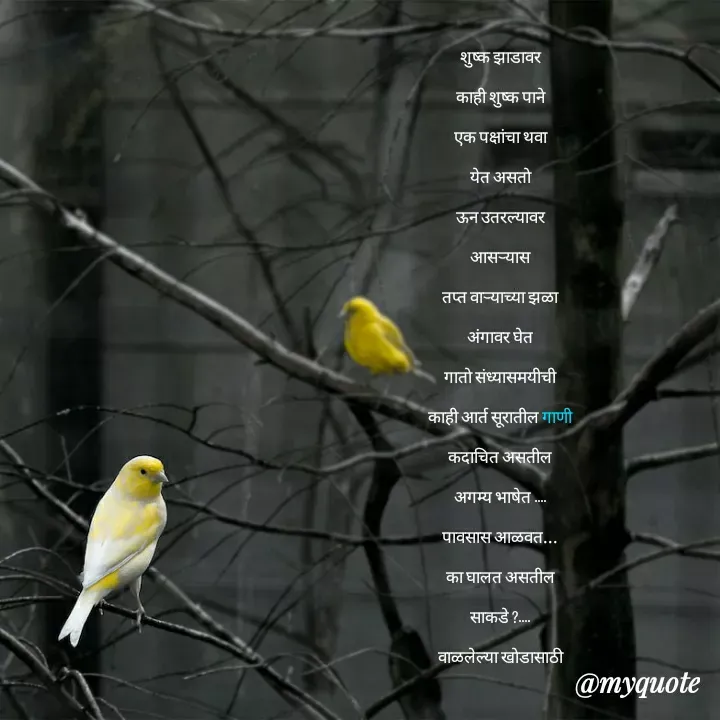 Quote by madhavi nd - 


शुष्क झाडावर

काही शुष्क पाने

एक पक्षांचा थवा

येत असतो

ऊन उतरल्यावर

आसऱ्यास

तप्त वाऱ्याच्या झळा

अंगावर घेत

गातो संध्यासमयीची

काही आर्त सूरातील गाणी

कदाचित असतील

अगम्य भाषेत ....

पावसास आळवत...

का घालत असतील

साकडे ?....

वाळलेल्या खोडासाठी






©®माधवी देवळाणकर - Made using Quotes Creator App, Post Maker App