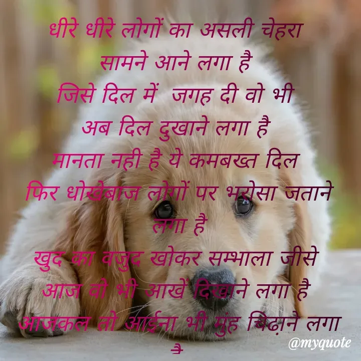 Quote by Kuch Alfaaz - धीरे धीरे लोगों का असली चेहरा 
सामने आने लगा है 
जिसे दिल में  जगह दी वो भी 
अब दिल दुखाने लगा है 
मानता नही है ये कमबख्त दिल 
फिर धोखेबाज लोगों पर भरोसा जताने लगा है
खुद का वजुद खोकर सम्भाला जीसे 
आज वो भी आखें दिखाने लगा है 
आजकल तो आईना भी मुंह चिढा़ने लगा है  - Made using Quotes Creator App, Post Maker App