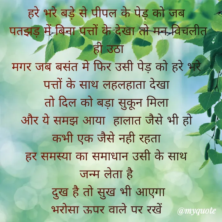 Quote by Kuch Alfaaz - हरे भरे बड़े से पीपल के पेड़ को जब 
पतझड़ में बिना पत्तों के देखा तो मन विचलीत हो उठा
मगर जब बसंत मे फिर उसी पेड़ को हरे भरे 
पत्तों के साथ लहलहाता देखा 
तो दिल को बड़ा सुकून मिला 
और ये समझ आया  हालात जैसे भी हो 
कभी एक जैसे नही रहता 
हर समस्या का समाधान उसी के साथ 
जन्म लेता है 
दुख है तो सुख भी आएगा
भरोसा ऊपर वाले पर रखें  - Made using Quotes Creator App, Post Maker App
