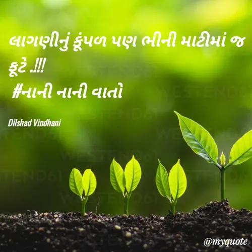 Quote by Dilshad Vindhani -  - Made using Quotes Creator App, Post Maker App