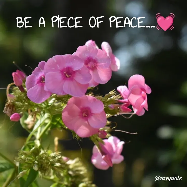 Quote by What's in a Name - BE A PIECE OF PEACE....💓 - Made using Quotes Creator App, Post Maker App