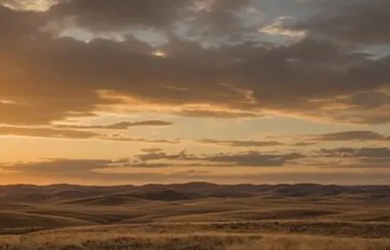 North American landscape