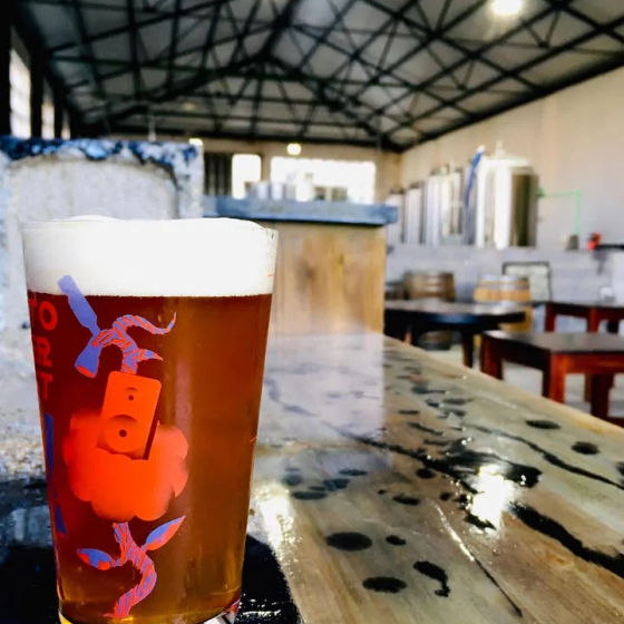 TestBeer2