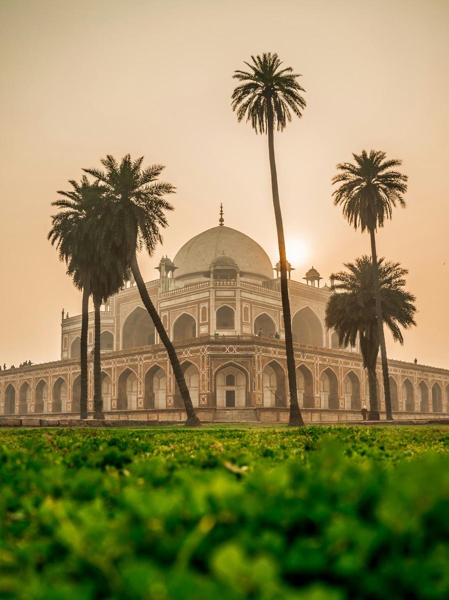 India Domestic photo 1