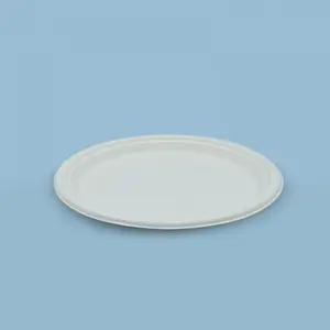 Plato 10″ (26 cm) Darnel Naturals Caña de Azúcar (480 unidades)