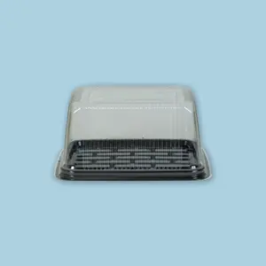 Base domo rectangular 21.0cm x 16.0cm altura 12cm (50 unidades)