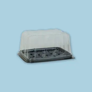 Base domo rectangular 21.0cm x 16.0cm altura 12cm (50 unidades)