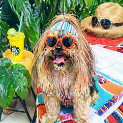 ai image of custom dog in the style of Summer 2 Beach Illustration 