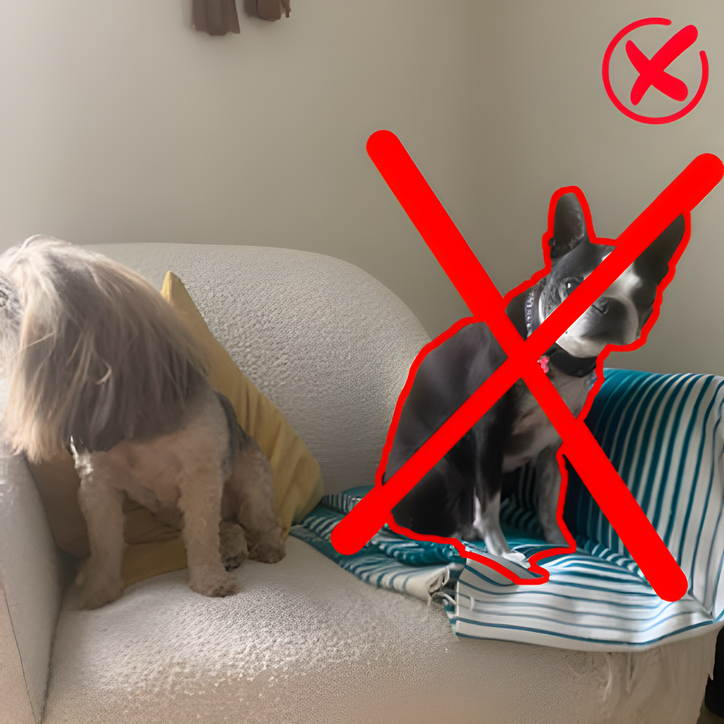 two dogs sitting on a couch