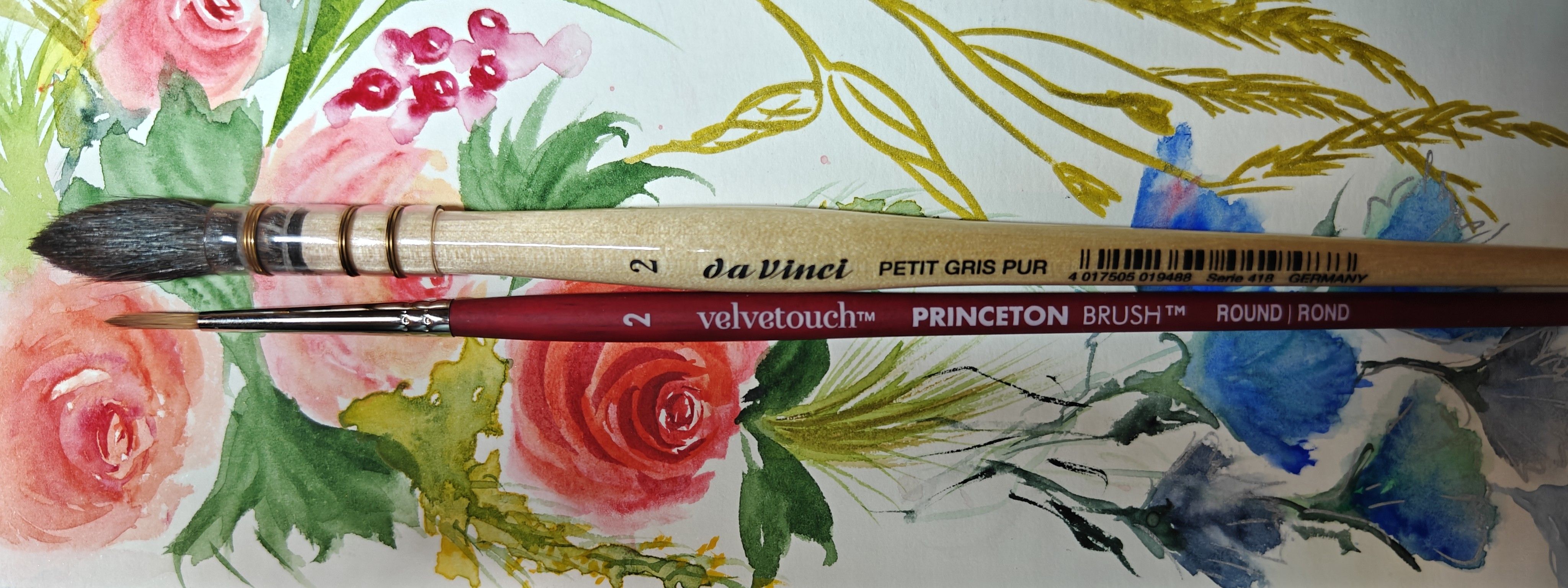 Watercolor Mop and Round brushes do not have the same sizing system