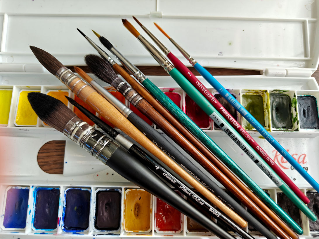 Collection of watercolor brushes showing different shapes and sizes, many of which beginners might or might not need