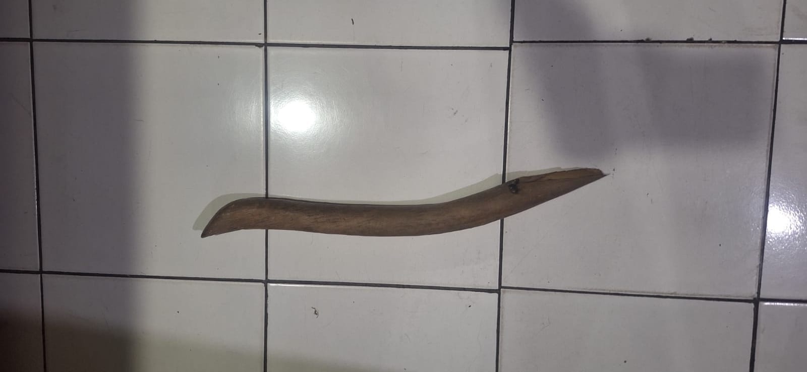 Barang Bukti.jpg Barang Bukti.jpg