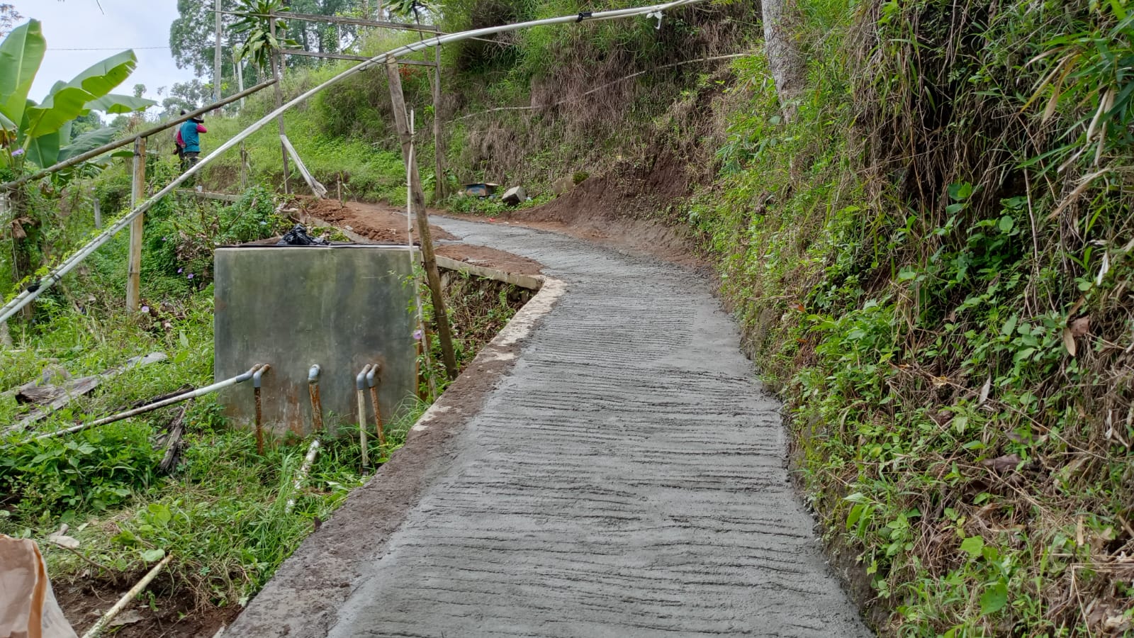 Jaling TPU 1.jpg