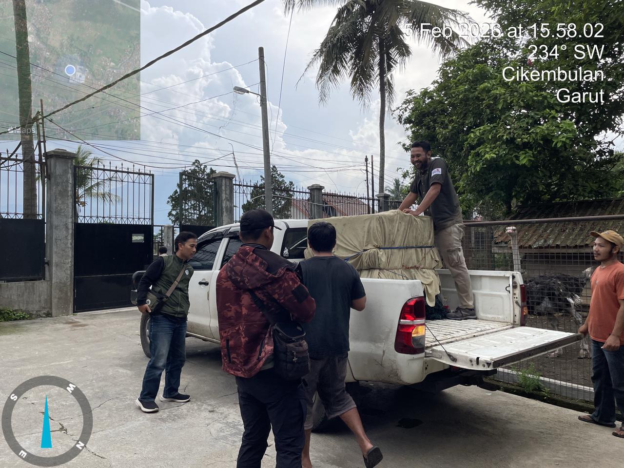 Macan Tutul (1).jpg