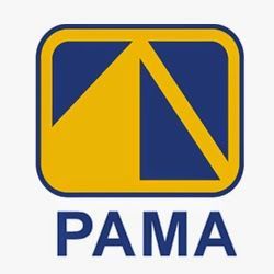 Lowongan Kerja PAMA Juli 2025: Dibuka Posisi Surveyor & Mine Research Development Engineer