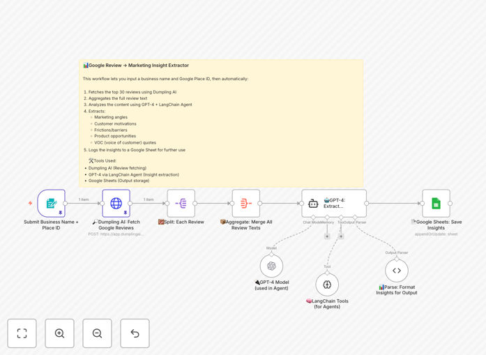 Google Reviews analysis workflow interface