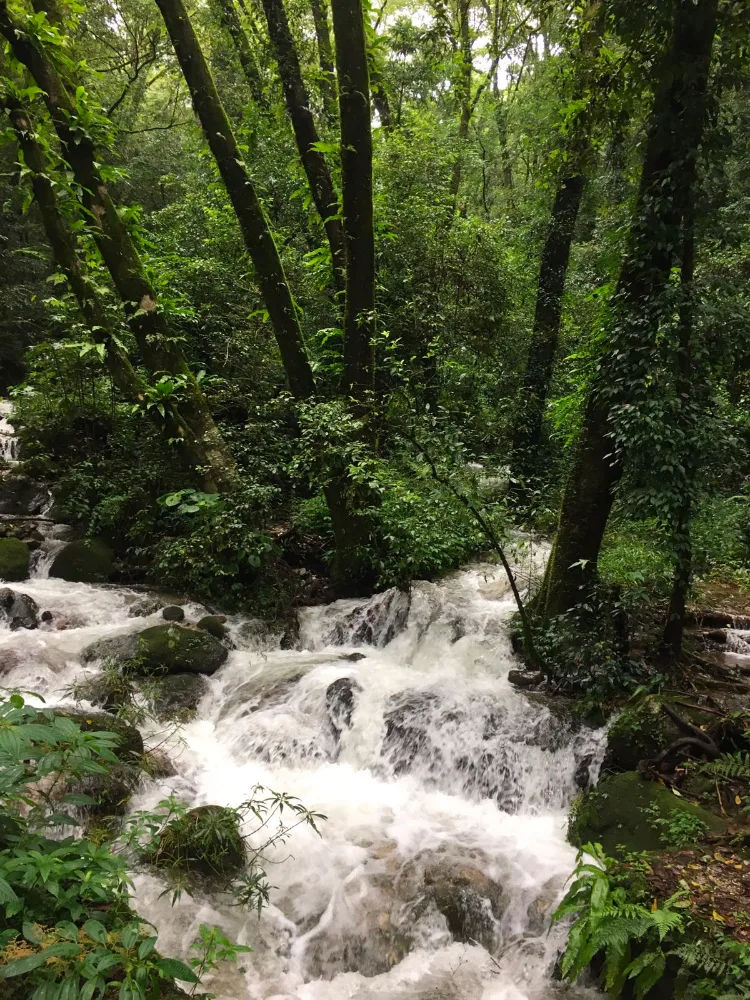Champa Devi hiking trail with panoramic views of Kathmandu Valley and Himalayan mountains in Nepal