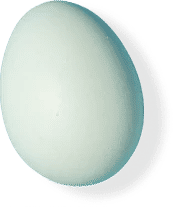 Heritage Blue Egg