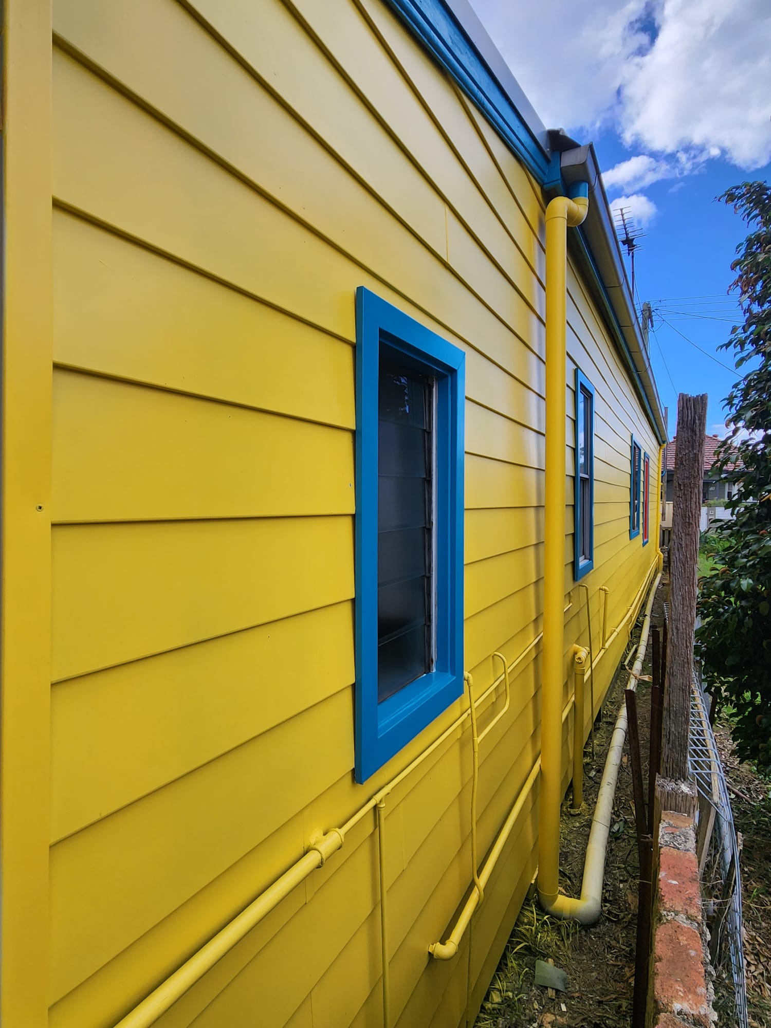 Yellow weatherboard wall with blue-framed windows after an exterior repaint