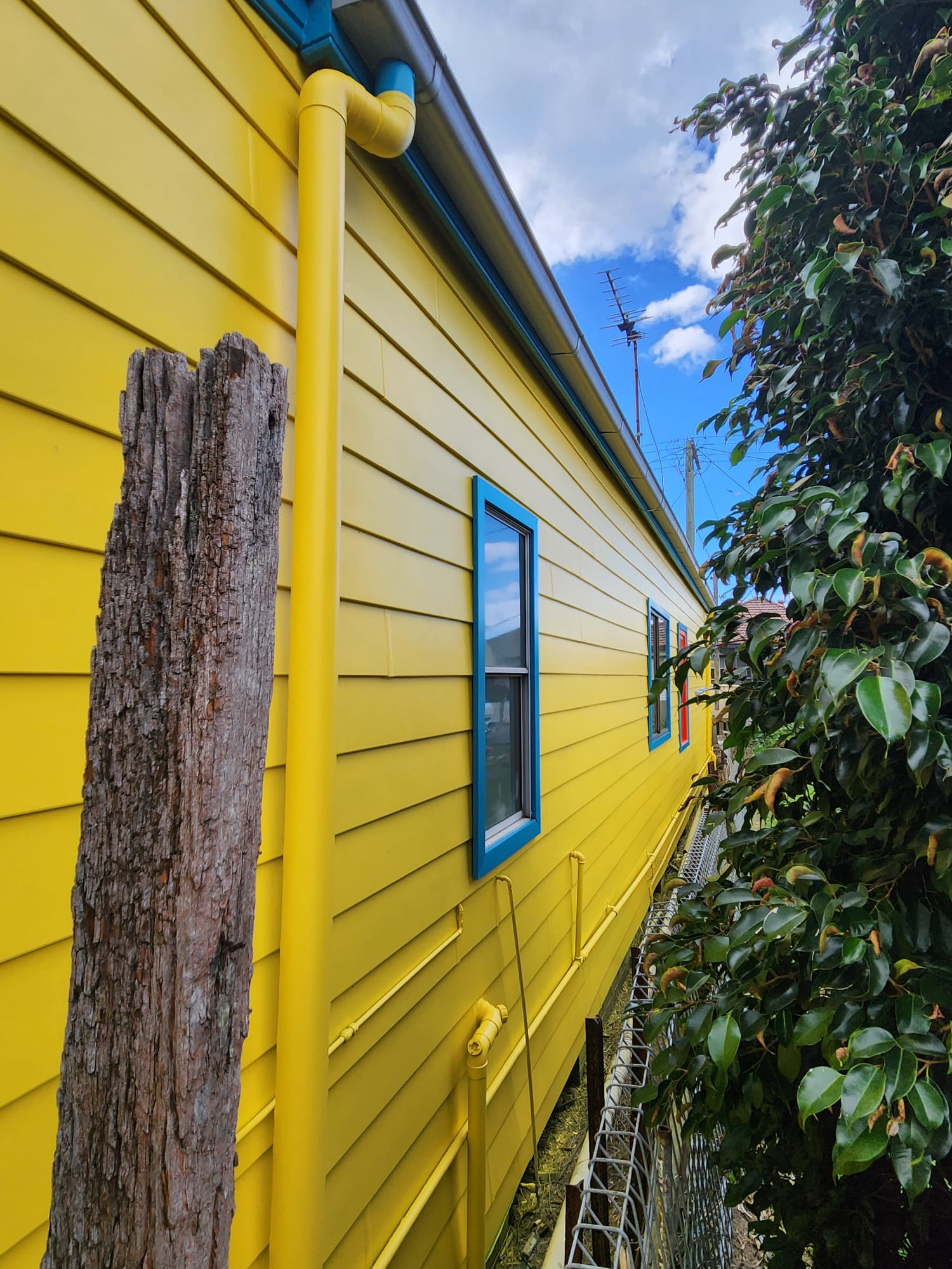 Yellow weatherboard home with blue window trims and repainted downpipes