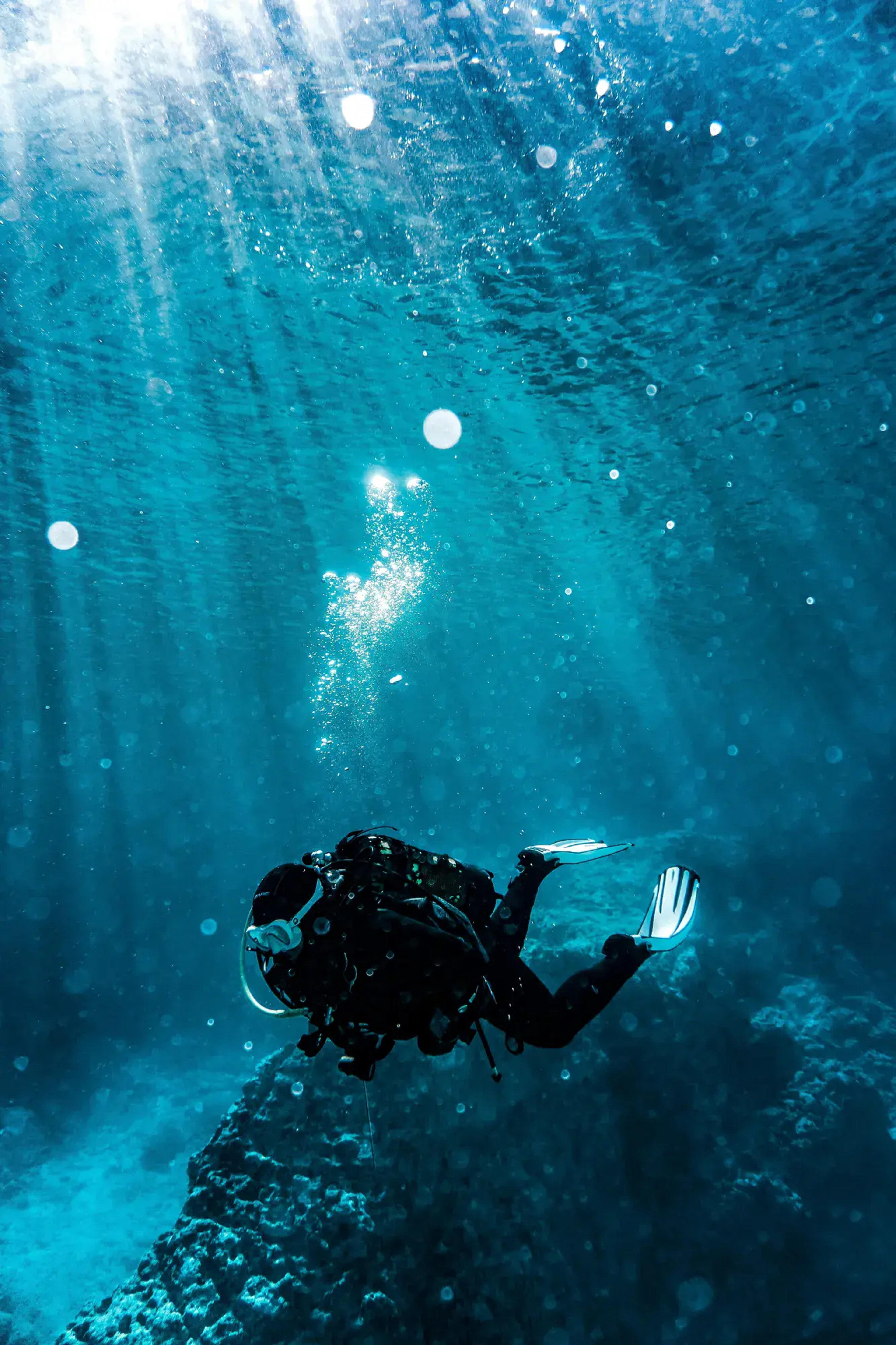 Divers exploring coral reefs in Egypt's Red Sea