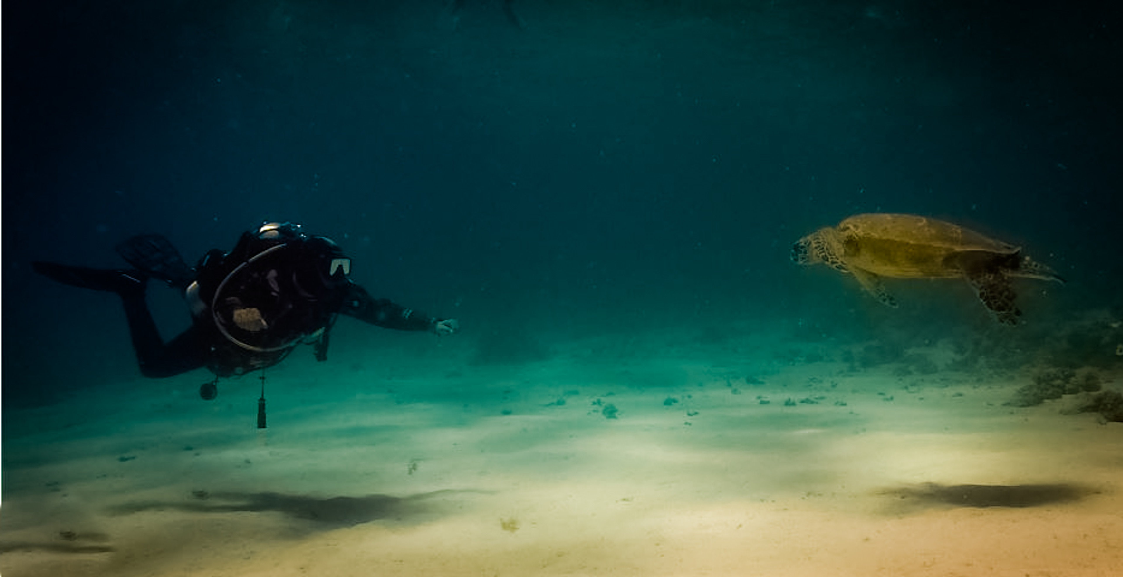 Underwater adventure with Rafiki