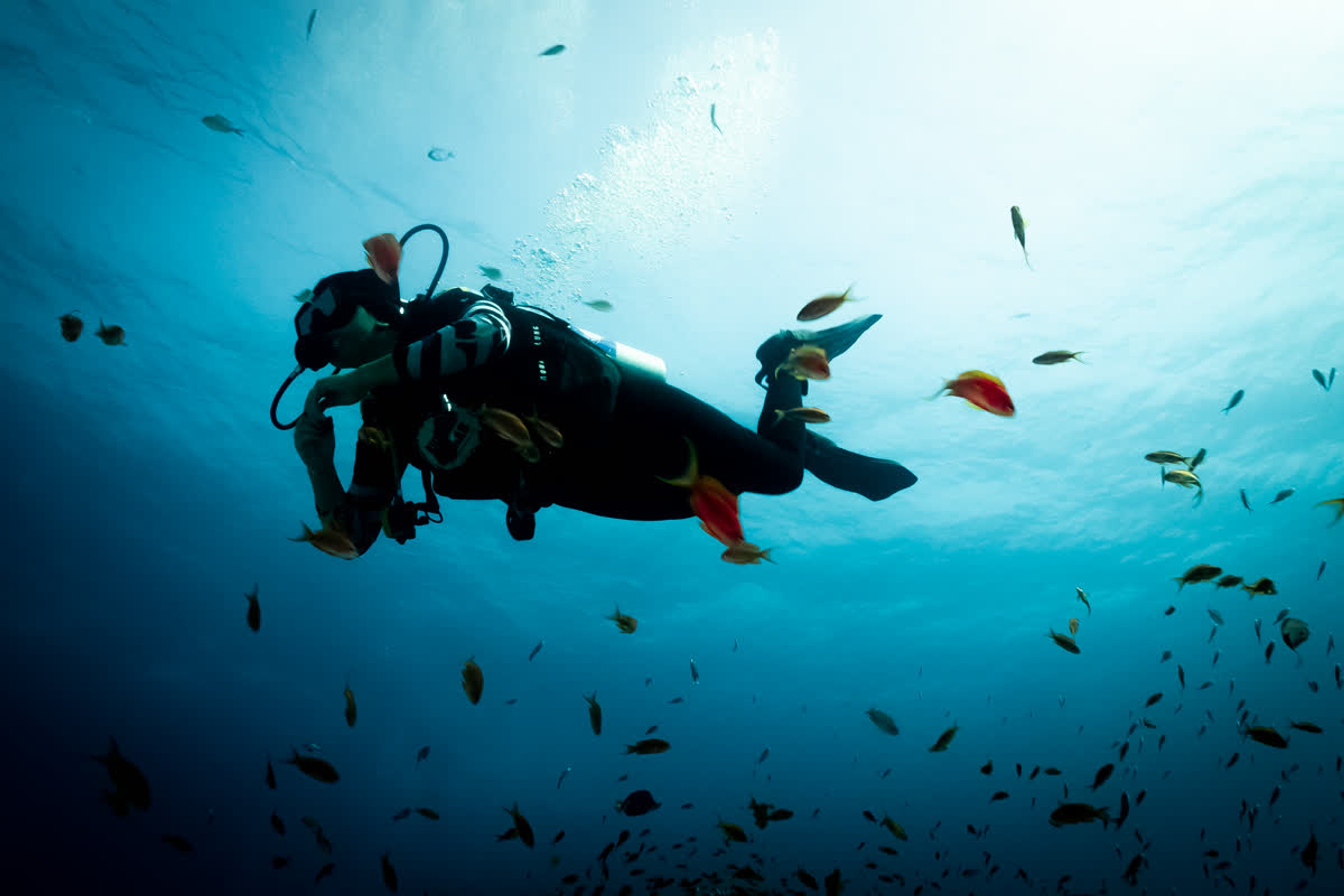 Group dive session in Egypt